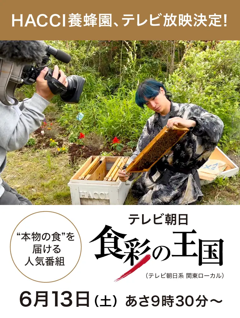 HACCI公式オンラインストア
