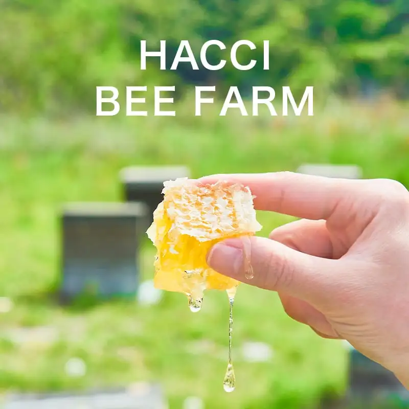 シートマスク｜HACCI公式オンラインストア