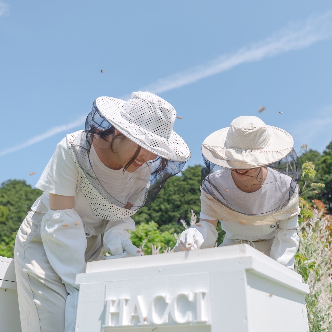 【ミキミキココナッツさん専用】Pau Hana cap ネイビー 公式】シナコバ（SINA COVA）ミニトートバッグ ハンドバッグ