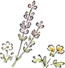 花