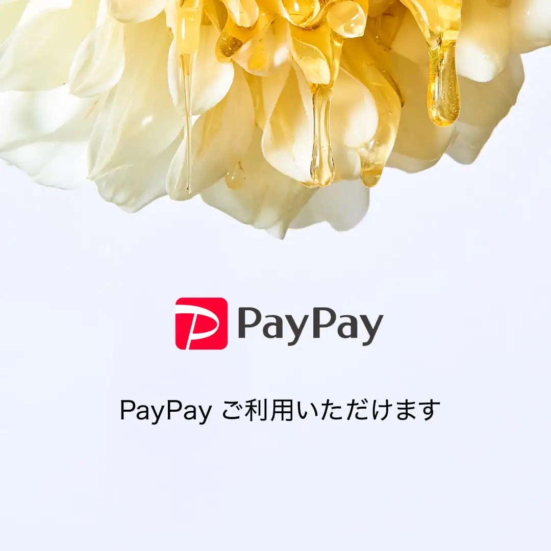 PayPay支払の導入のお知らせ